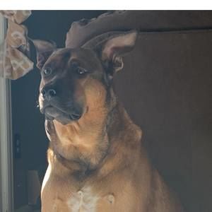 Meet your Posher, Maxx